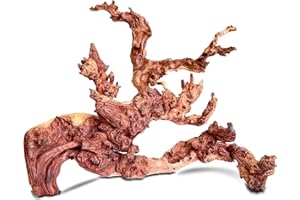 HEMYIS Natural Wood Coral Driftwood for Aquarium Fish Tank Decor,Assorted Driftwood Branch for Reptile Decor (Coral Driftwood Large (14 to18 Inch)-Pack of 1)