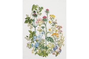 THEA GOUVERNEUR SINCE 1959 Thea Gouverneur - Counted Cross Stitch Kit - Herb Panel - Linen - 36 Count - Embroidery Kit for Adults - DMC Embroidery Threads and Other Cross Stitch Supplies Included - 424
