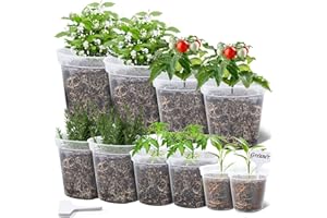 GREANER Clear Plant Pots, Plastic Planters for Indoor Plants, Seed Starting Pot with Drainage Holes, 4/5/6/7/8 Inch(10 Packs)