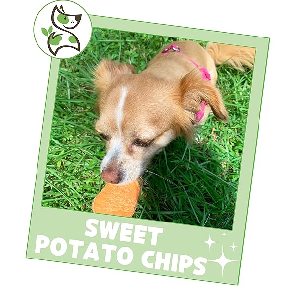 NATURE GNAWS SWEET POTATO CHIPS FOR DOGS – SINGLE INGREDIENT NATURAL DOG CHEW TREATS – 12 OZ