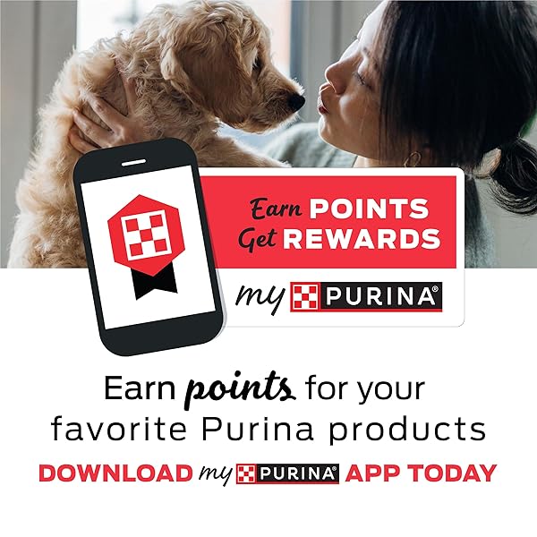 PURINA FRISKIES DRY CAT FOOD GRAVY SWIRL’D WITH FLAVORS OF CHICKEN, SALMON AND GRAVY – 3.15 LB. BAG