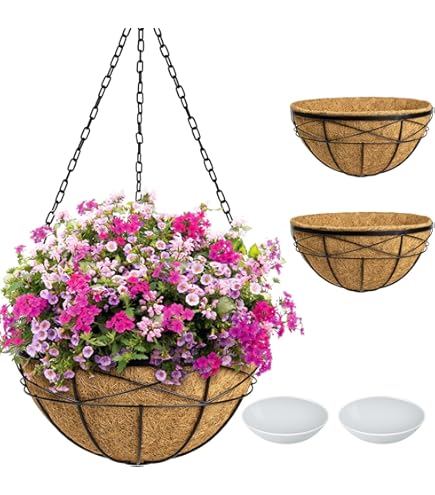 花瓶 DBKD More hanging flower pot DBKD More 1 Piece Hanging Planter - Wayfair Canada