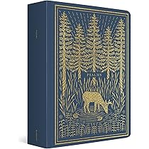 Genesis: Genesis (Paperback) | Amazon.com.br