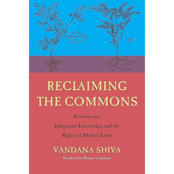 Earth Democracy: Justice, Sustainability, and Peace: Shiva