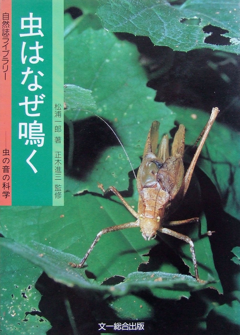 虫はなぜ鳴く 虫の音の科学 自然誌ライブラリー 松浦 一郎 本 通販 Amazon