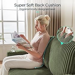 LINSY HOME Loveseat Sofa with Storage - Comfy Plush