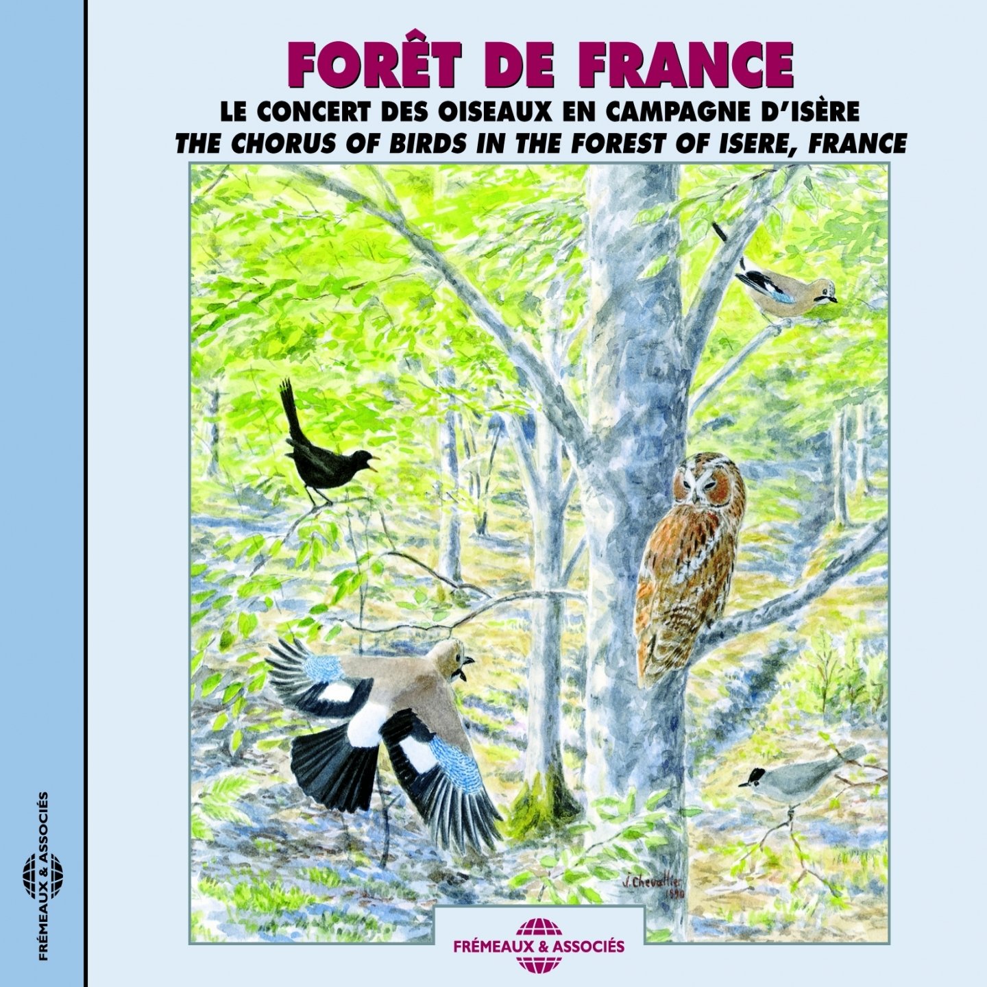The Chorus Of Birds In The Forest Of Isere, France