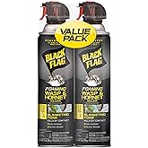 Black Flag Foaming Wasp and Hornet Killer 14 Ounces, Aerosol Insecticide Spray, 2 Pack
