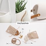 Kazai Ellie Wall Planters 3 Piece Cream Matte Ceramic Hanging Pots view 2