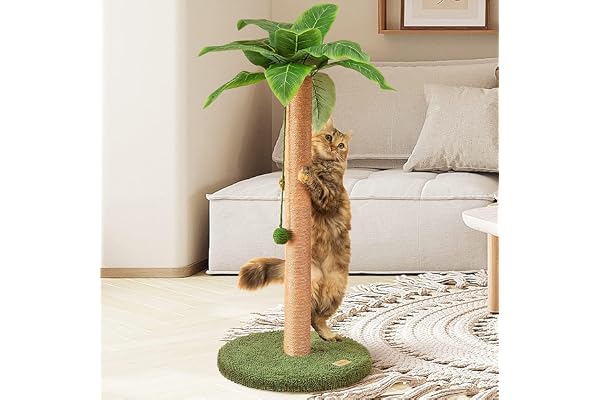 Meowoou Cat Scratching Post with Hanging Ball,33 inch Tall Cute Cat Toys for Indoor Cats with Sisal Rope,Palm Decor Cat Tree