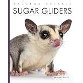 Sugar Gliders (Amazing Animals)
