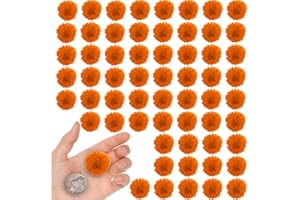 HEISENLIN Orange Dried Flowers Coreopsis for Resin Crafts, 60PCS Natural Real Pressed Dry Flowers Calliopsis for Resin Jewelry DIY Phone Case Decor Candle Making Decoration