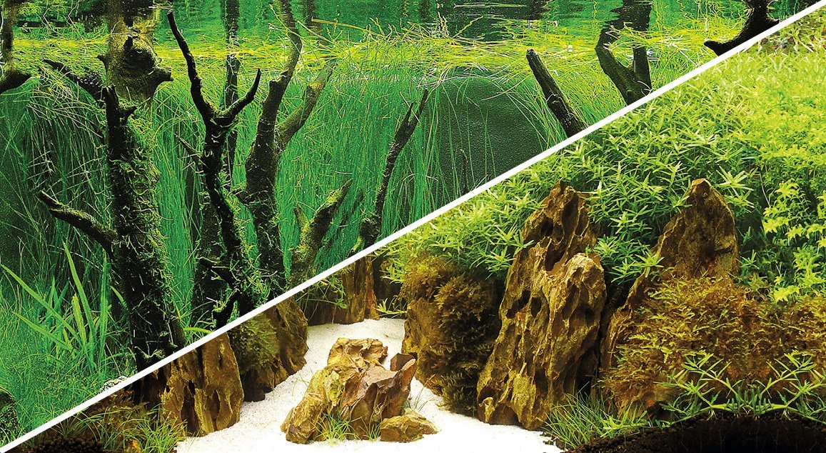 Hobby backdrop Canyon/Woodland cross-section