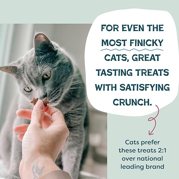 SHAMELESS PETS CRUNCHY CAT TREATS – KITTY TREATS FOR CATS WITH DIGESTIVE SUPPORT, NATURAL KITTEN TREATS WITH REAL CHICKEN, HEALTHY FLAVORED FELINE SNACKS – CRAN YOU SAY CHICKEN, 1-PK