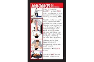 URSUS ENTERPRISES INC Adult/Child CPR and Choking Pocket Reference Cards LOT of 50