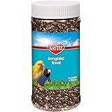 Kaytee Songbird Treat Jar for Canaries & Finches