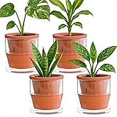 D'vine Dev 4 Inch Design Self Watering Pot for Indoor Plants, Terracotta Planter with Cylinder Glass Cup, Set of 4, 37-Z-A-1-F