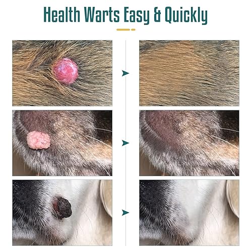 Skin Puppy Warts Contagious 2+ Hundred Wart Dog Royalty-Free - Main Image