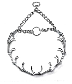 prong collar tractor supply