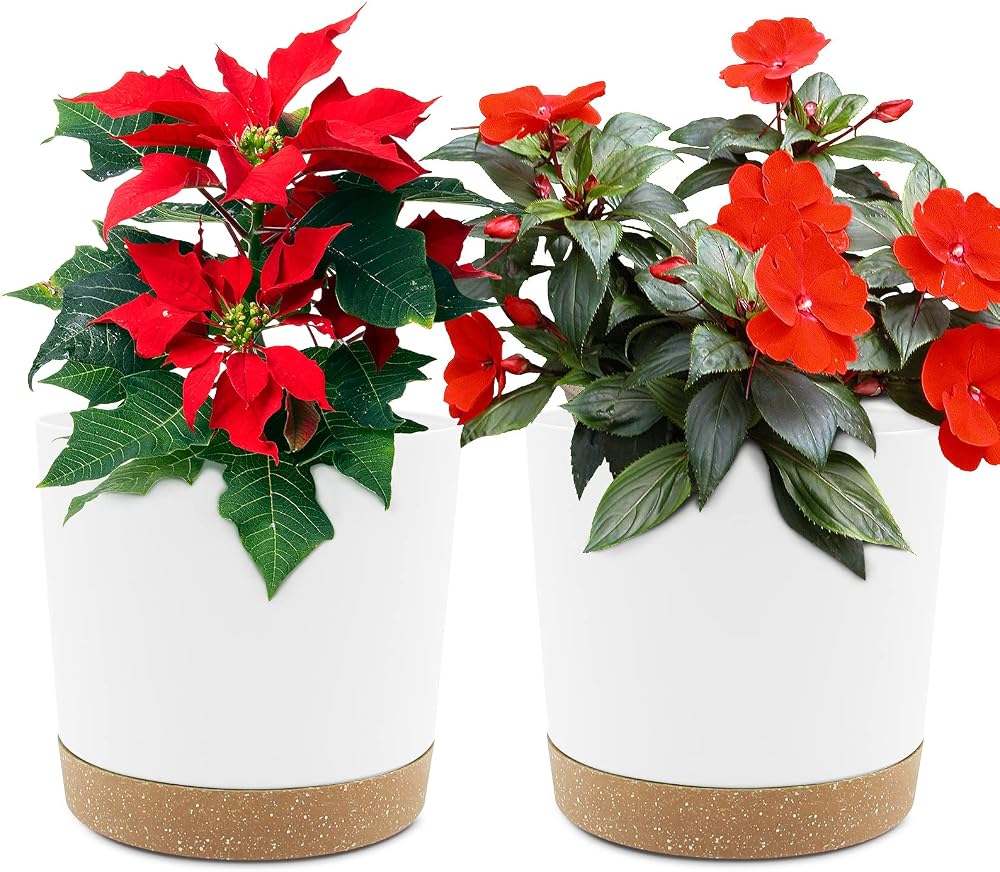 QCQHDU Plant Pot 16.5cm 2 Pack with Drainage Holes and Saucer White
