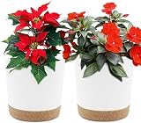 QCQHDU Plant Pot 16.5cm 2 Pack with Drainage Holes and Saucer White