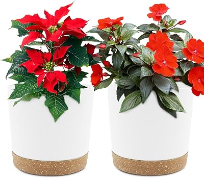 QCQHDU Plant Pot 16.5cm 2 Pack with Drainage Holes and Saucer White