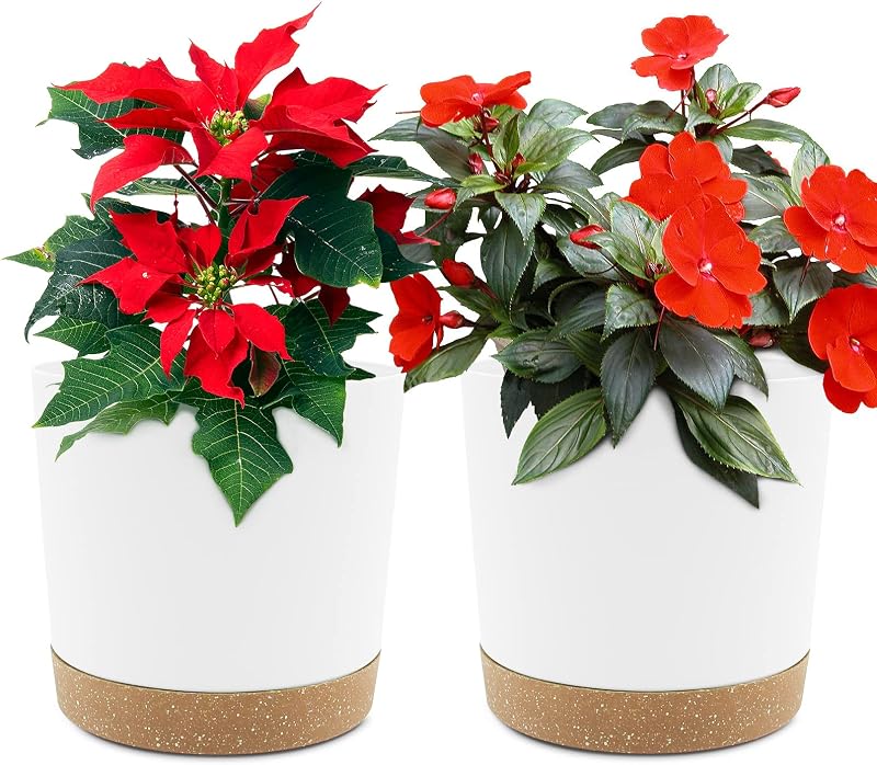 QCQHDU Plant Pot 16.5cm 2 Pack with Drainage Holes and Saucer White