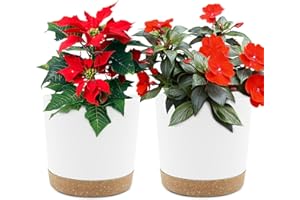 QCQHDU 6.5 inch Plant Pot, 2 Pack Planters for Indoor Plants with Drainage Holes & Saucer, Outdoor Flower Pots Home Garden Modern Decor