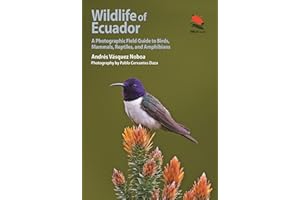 Wildlife of Ecuador: A Photographic Field Guide to Birds, Mammals, Reptiles, and Amphibians