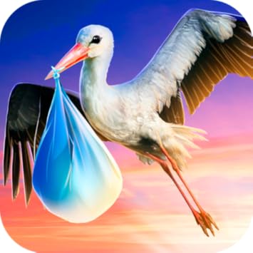 Image result for stork