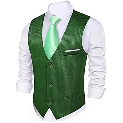 Barry.Wang Mens Green Formal Vest Striped V-neck