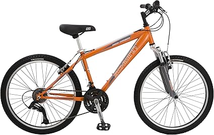 schwinn whisper 20 inch