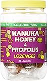 Y.S. Eco Bee Farms Manuka Honey & Propolis Active 15+ Lozenges 20 Lozenges