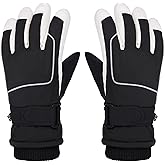 Pistha Winter Gloves Men Waterproof Gloves Thermal Ski Snow Gloves with Screen Touching for Cold Weather Outdoor Sports Work