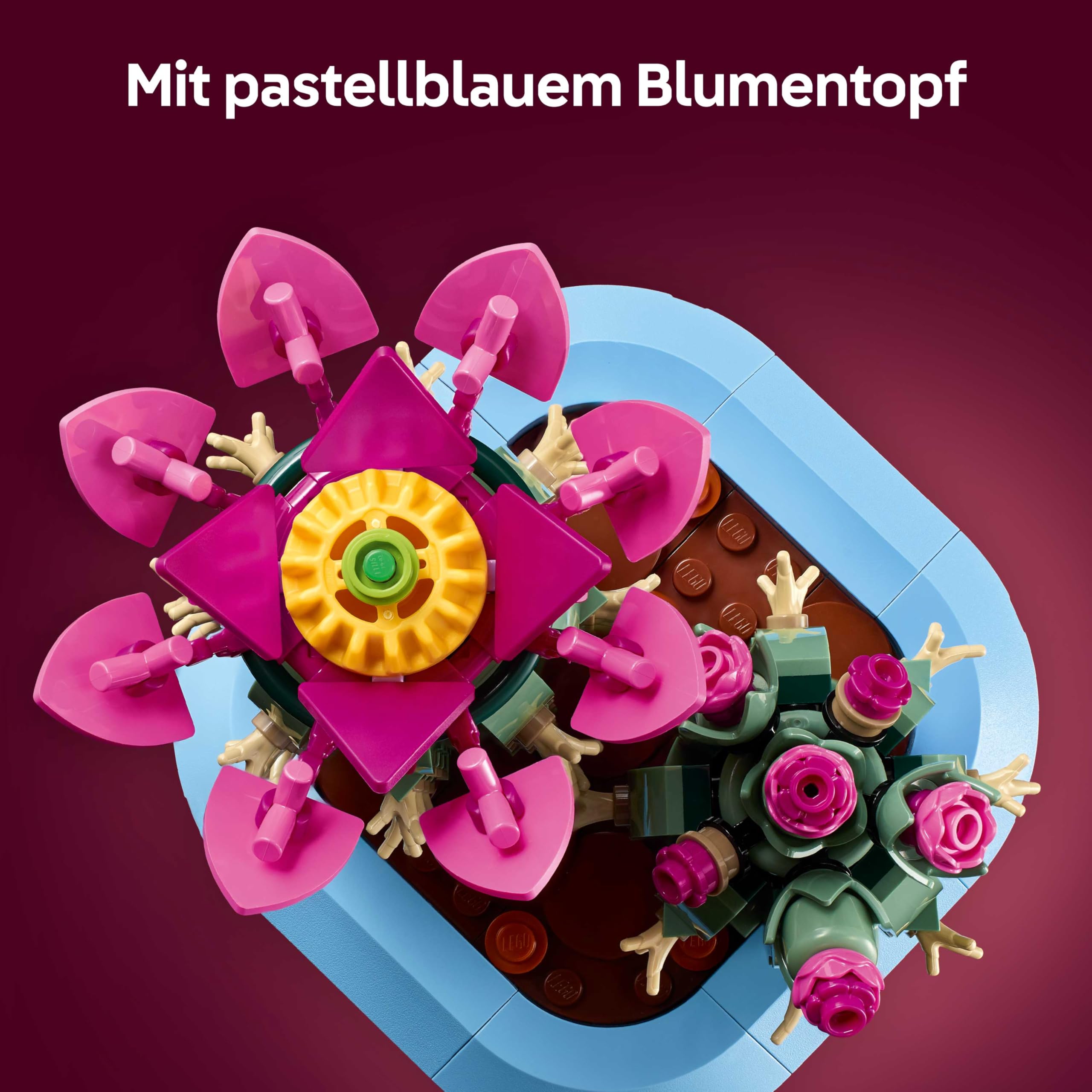 LEGO Botanicals Blühender Kaktus - Set mit Kunstpflanze mit 2 Kakteen & künstlichen Blüten - DIY Deko - Geschenkidee zum Geburtstag für Mädchen ab 9 Jahren & Erwachsene Pflanzenliebhaber - 11509 5