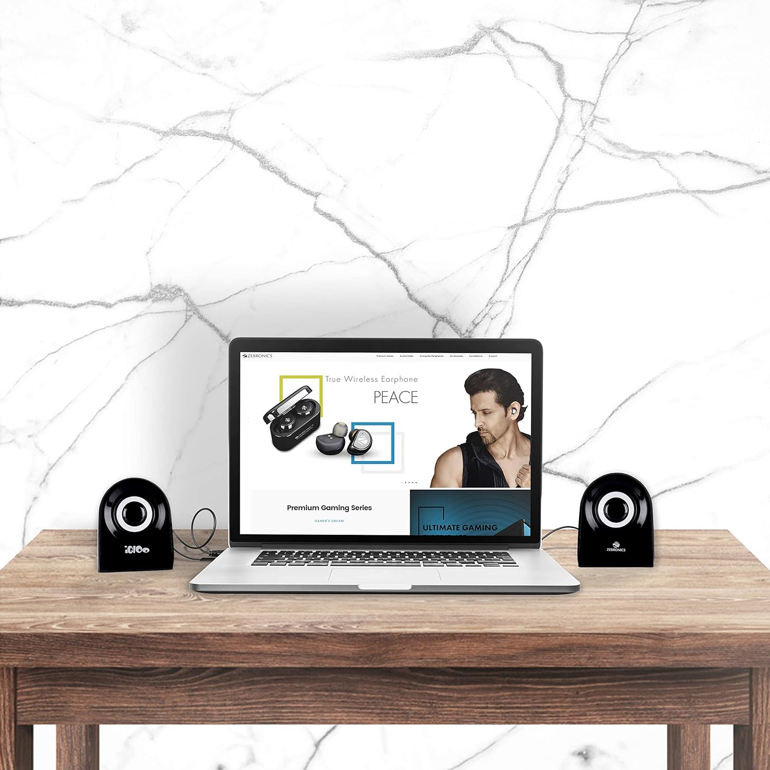 zebronics 2.0 multimedia speakers igloo