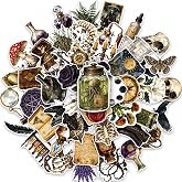 50Pcs Vintage Witchy Gothic Apothecary Stickers for Laptop Skateboard Kindle