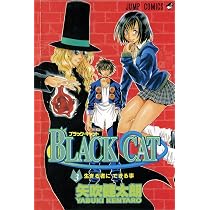 Black Cat, Volume 1 | Amazon.com.br