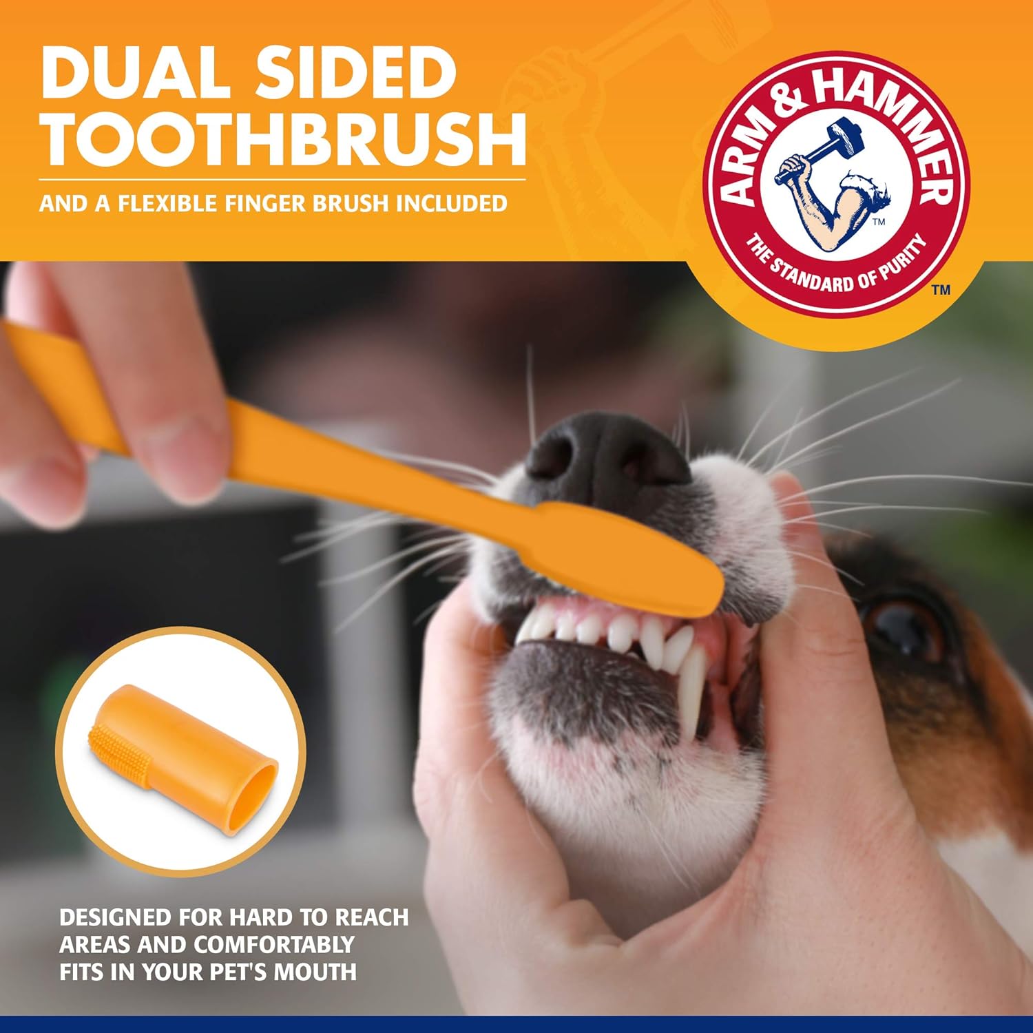 Arm & Hammer for Pets Dog Dental Care Fresh Breath Kit for Dogs : Pet Toothpastes : Pet Supplies