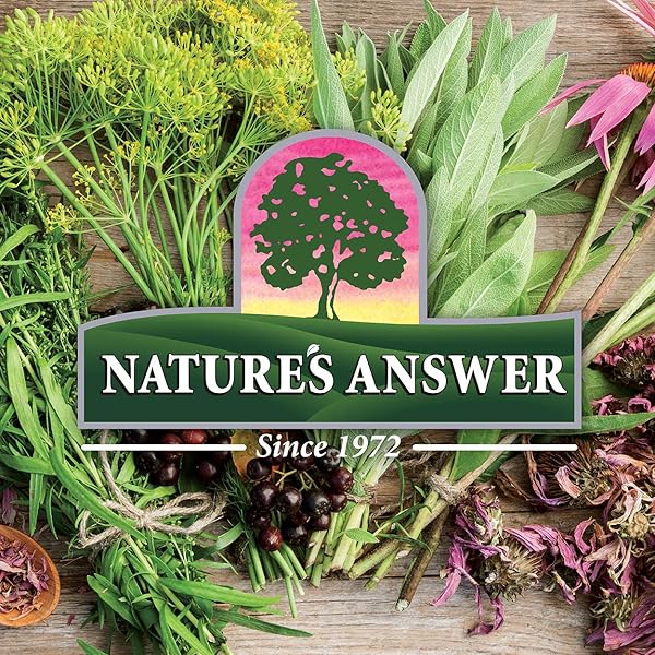 NATURE’S ANSWER MILK THISTLE 2 OUNCE EXTRACT – ALCOHOL FREE, NON GMO, LIVER SUPPORT SUPPLEMENT FOR EVERYONE – LIVER DETOX, MADE IN USA
