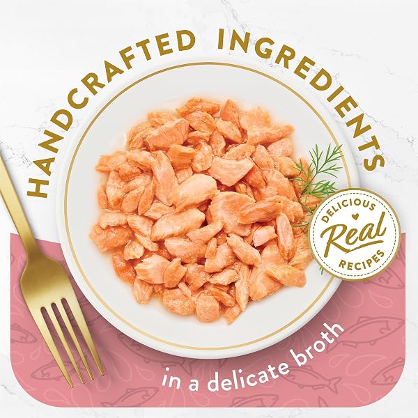 PURINA FANCY FEAST APPETIZERS LICKABLE GRAIN FREE WET CAT FOOD TOPPER WILD ALASKAN SALMON APPETIZER – (PACK OF 10) 1.1 OZ. TRAYS