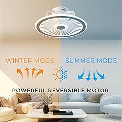 CHANFOK Ceiling Fan with Lights and Remote, Modern