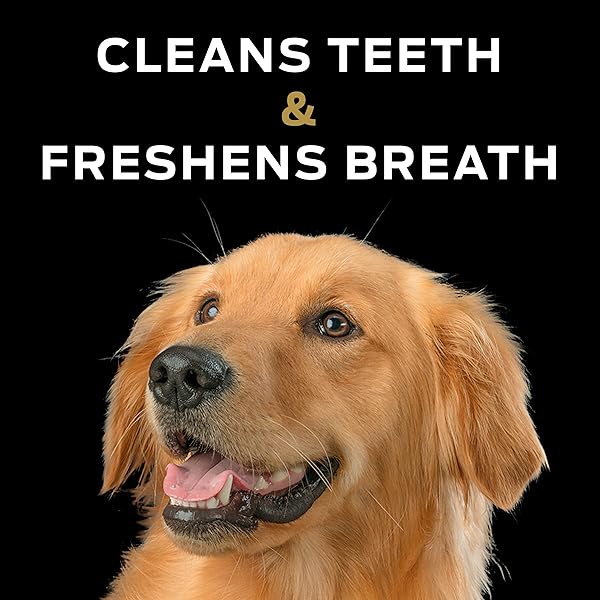 PURINA PRO PLAN VETERINARY DIETS DENTAL CHEWZ DOG TREATS – 5 OZ. BOX