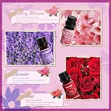 SALKIN Essential Oils Set 6 x 10 ml Lavender Rose Jasmine Cherry Blossom view 3