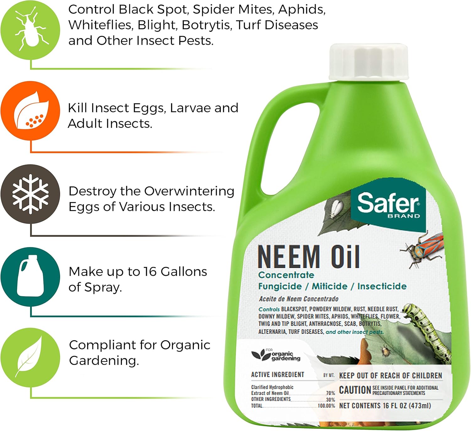 Safer 5182-6 Brand Neem Oil Concentrate,Green: Garden & Outdoor