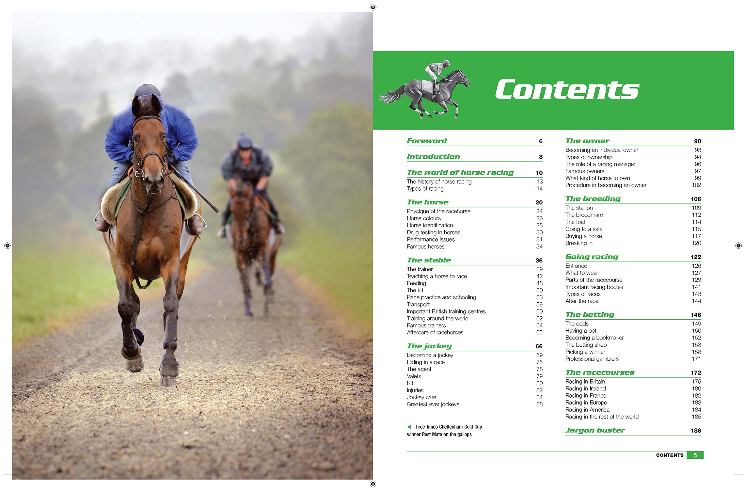 Horse Racing Manual (Haynes Manuals): Amazon.co.uk: Tom Peacock:  9781785211690: Books