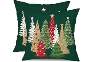 DFXSZ Christmas Pillow Covers - 18x18 Inch Set of 2 Green Throw Pillows for Home Couch - Winter Christmas Decor TH-50B18