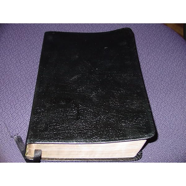 The Skeptic's Annotated Bible: Steve Wells: 9780988245150: Amazon