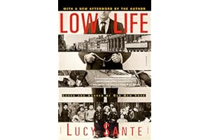 Low Life: Lures and Snares of Old New York