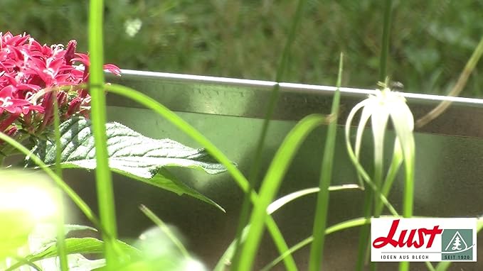 Lust Blechwaren Cercado para borde del Césped y borde de cama de 8 ...